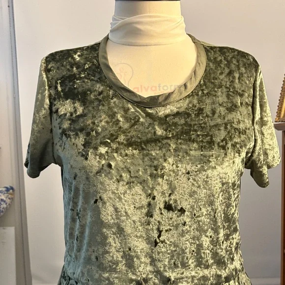 Luxurious Olive Velvet Short Sleeve Top - Picture 4 of 10